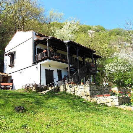 Milkovata Guest House Koshov Exterior photo
